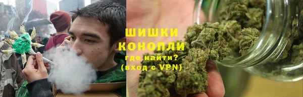 ПСИЛОЦИБИНОВЫЕ ГРИБЫ Баксан