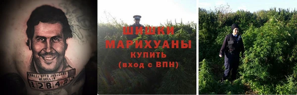гашик Балахна