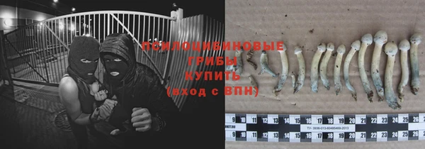 ПСИЛОЦИБИНОВЫЕ ГРИБЫ Баксан