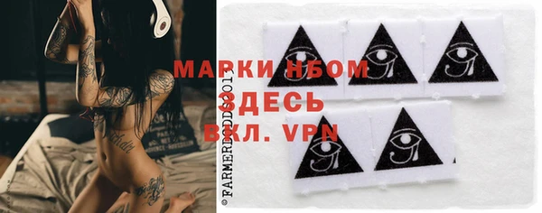 гашик Балахна