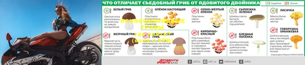 ПСИЛОЦИБИНОВЫЕ ГРИБЫ Баксан