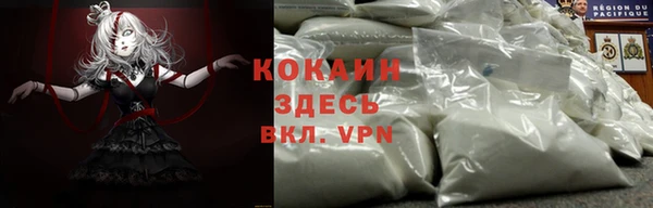 гашик Балахна