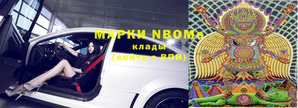 ПСИЛОЦИБИНОВЫЕ ГРИБЫ Баксан