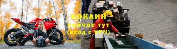гашик Балахна